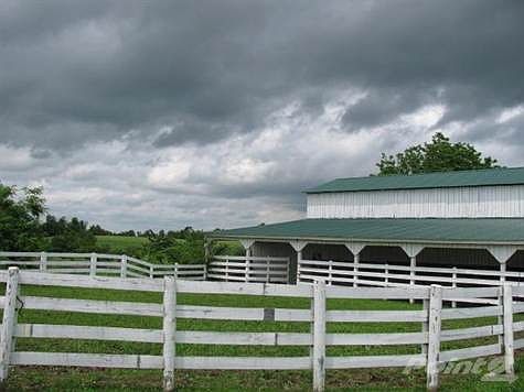 Front paddock.  Covered chute for treating livestock with separate small paddock.