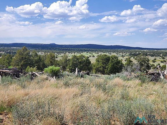 4th image of Pinon Trails Cir