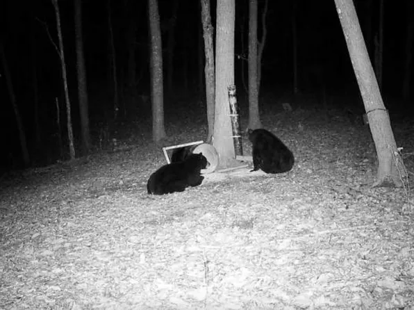 3700 W Fork Rd, Burkesville, KY 42717