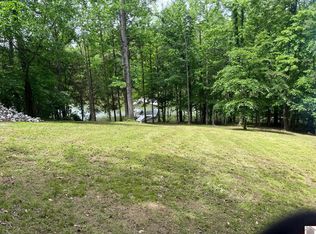 10 Chelsea Rd, Eddyville, KY 42038