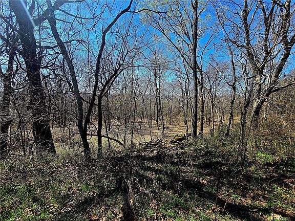 2nd image of 19743 Hale Mountain Rd