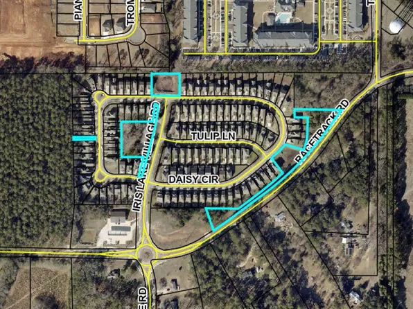 Iris Lake Rd, McDonough, GA 30252