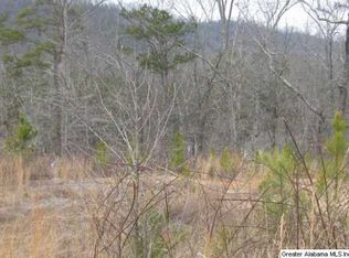 406 Redwood Ln, Remlap, AL 35133