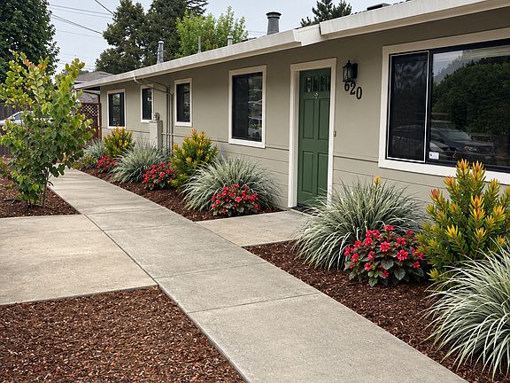 landscaping currently in progress