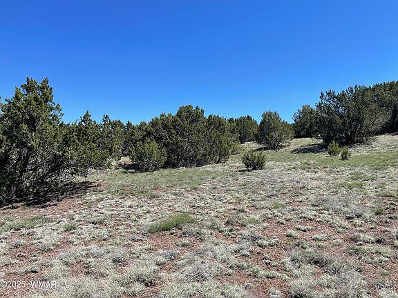 5th image of 58 County Road 3190