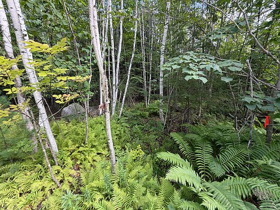 5th image of TBD Stoneybrook Drive Lot 2