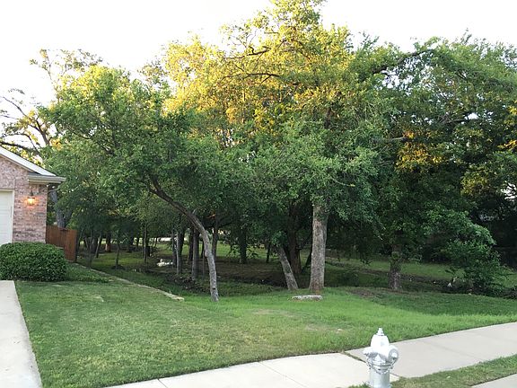 Adjacent HOA Green Space