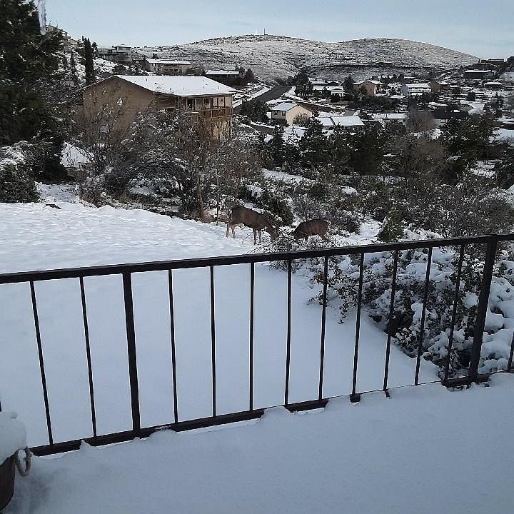 2nd image of 834 Sunami Ct