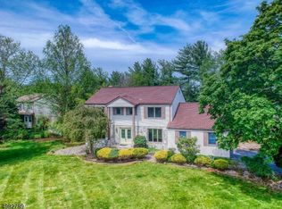 1 Fredrick Ct, Hillsborough, NJ 08844