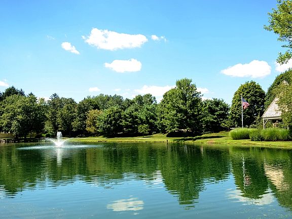 Neighborhood Pond