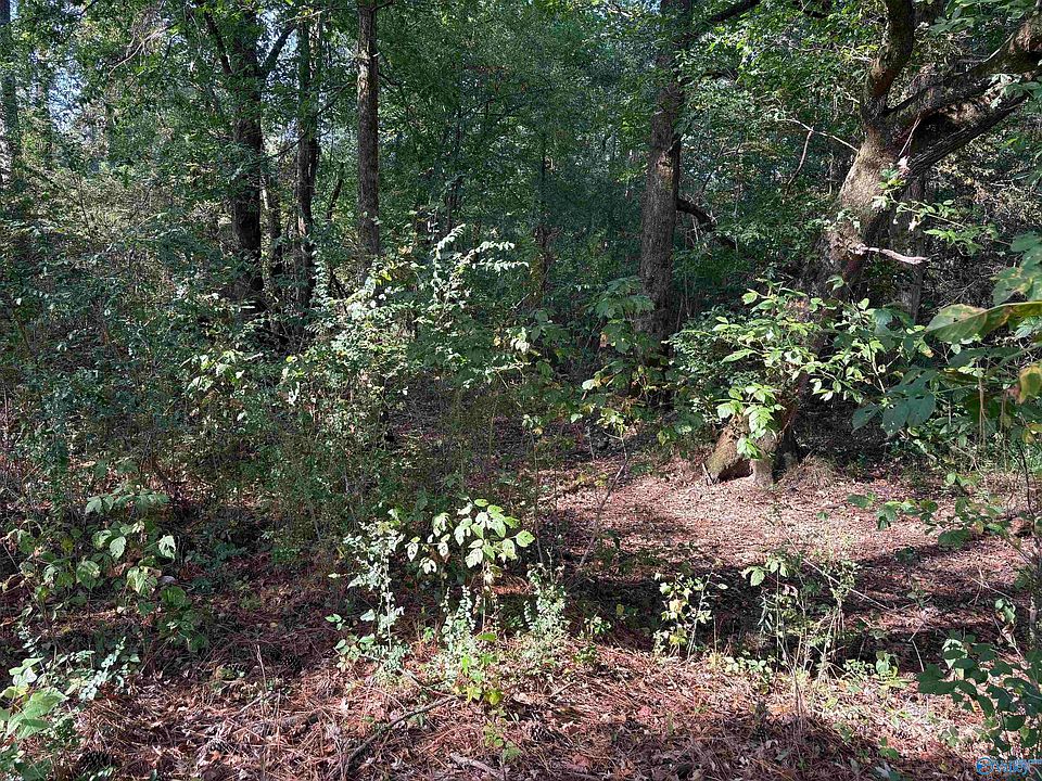 2nd image of 1428 Cove Creek Dr