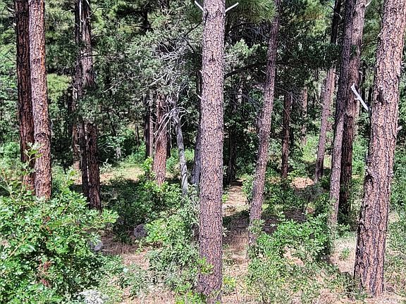 2nd image of 1088 Timbernook Xing Lot 24