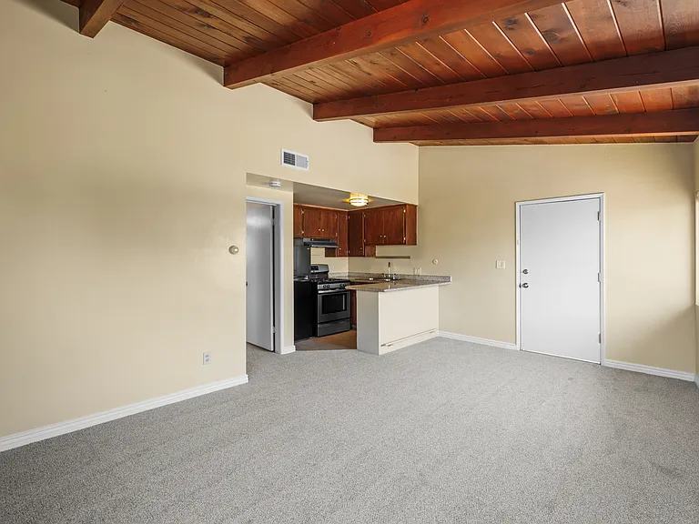 Large Living Room with Vaulted Ceilings