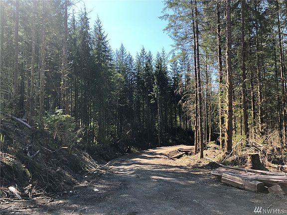 4th image of 5 Scotty Road (lot #5)