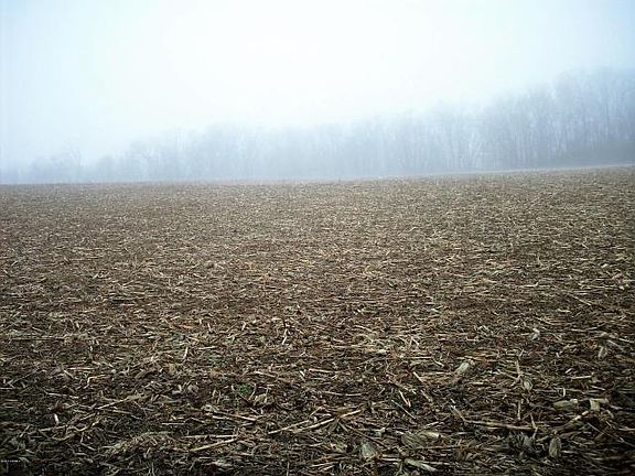 Field in front of home