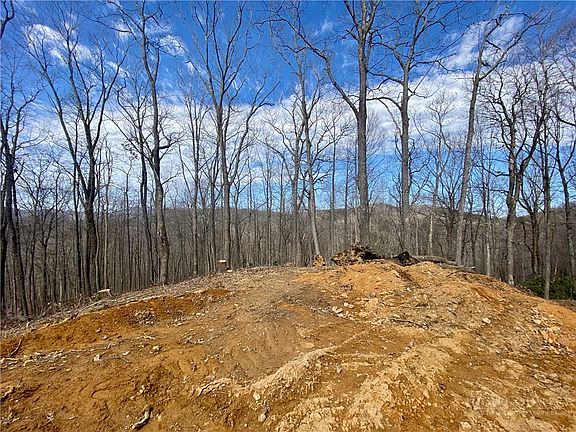 3rd image of TBD Old Chestnut Mountain Road