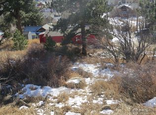 84 W 4th St, Nederland, CO 80466