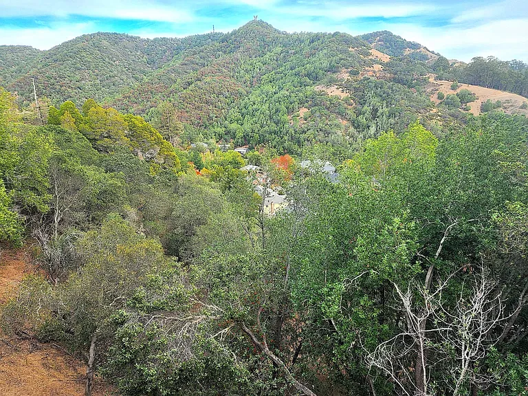 View off of deck looking onto Dominican neighborhood
