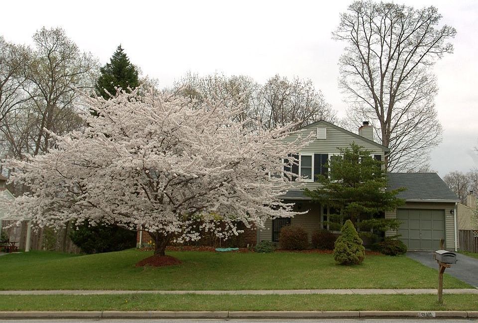 from road, garage has been painted white