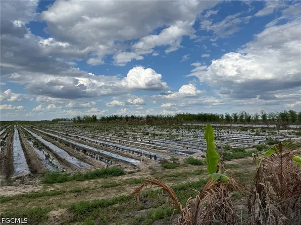 6550 1st Rd, Labelle, FL 33935