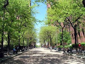 3rd image of 1623 3rd Ave APT 22G