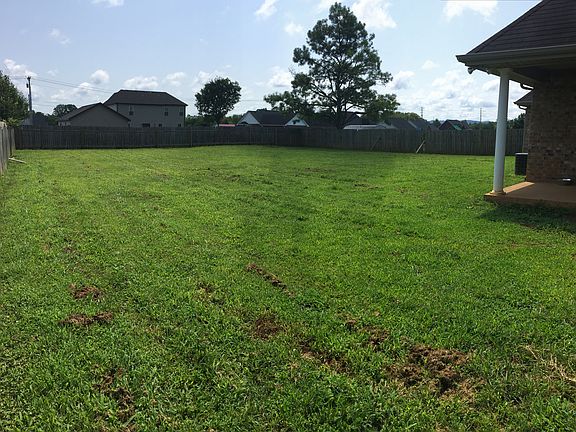 HUGE fenced in backyard!