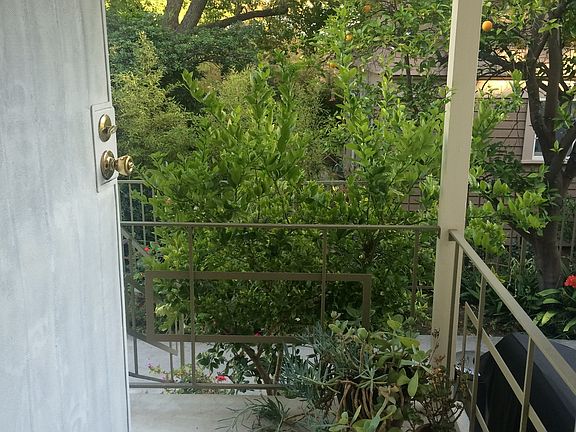 5th image of 1922 Tamarind Ave APT 3