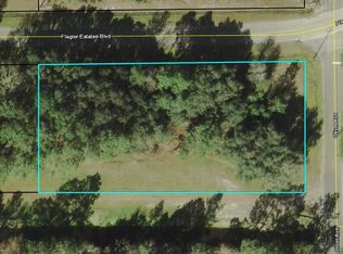 9805 Oliver Ave, Hastings, FL 32145