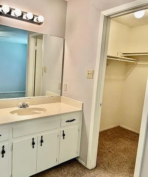 3413 Rocky Hollow Trl — Photo 28