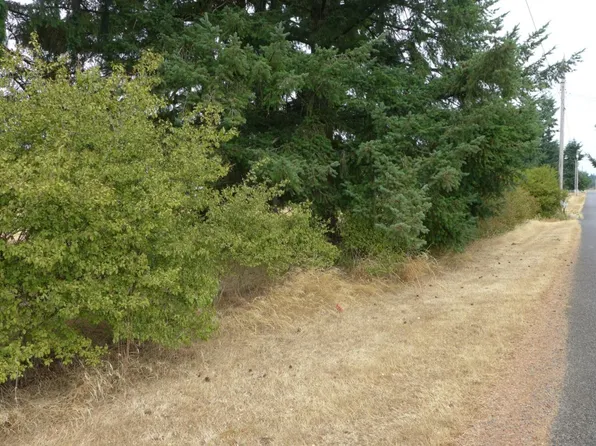 18709 Citrus St SW, Rochester, WA 98579