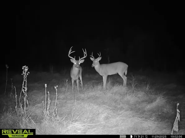 0 Eden Ridge Rd, Reedsville, OH 45772