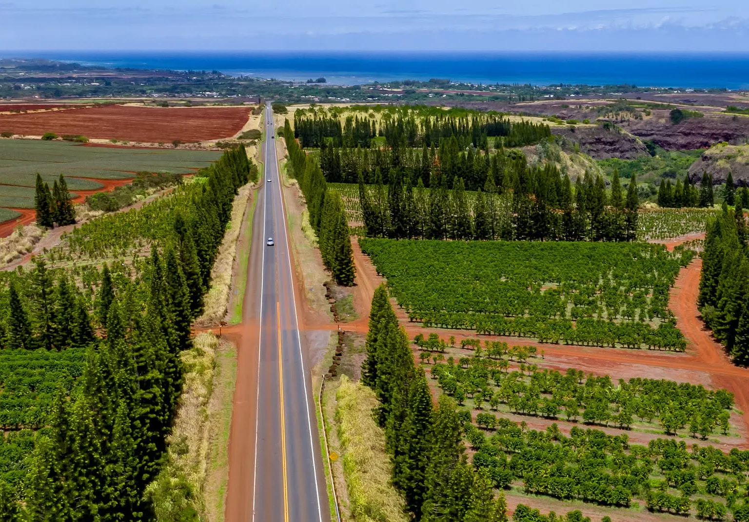 59-178 Kamehameha Hwy — Photo 1