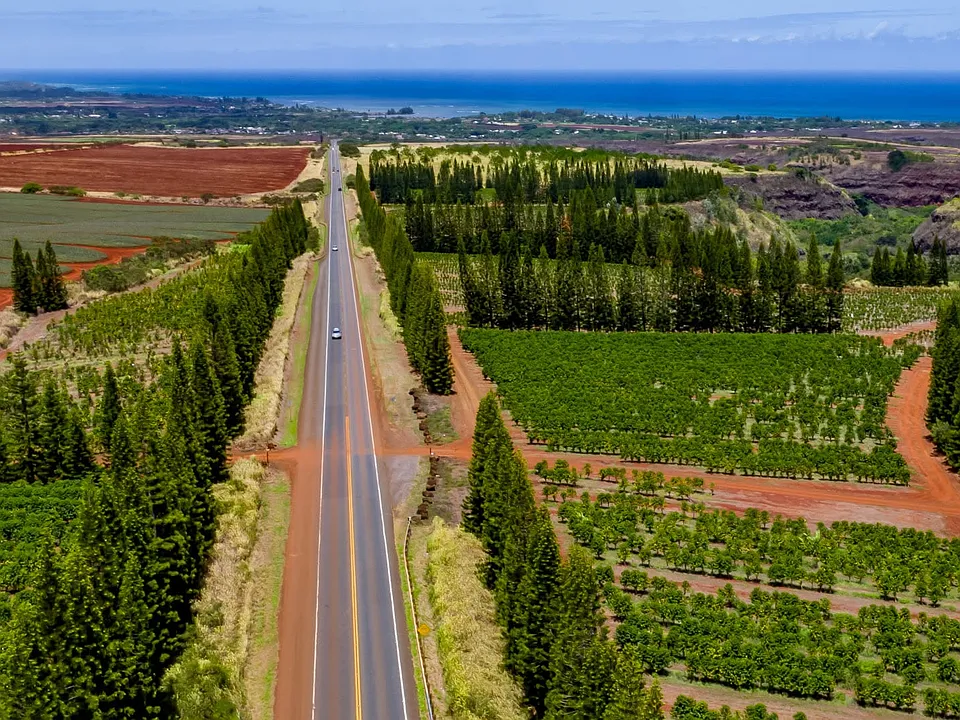 59-178 Kamehameha Hwy #3