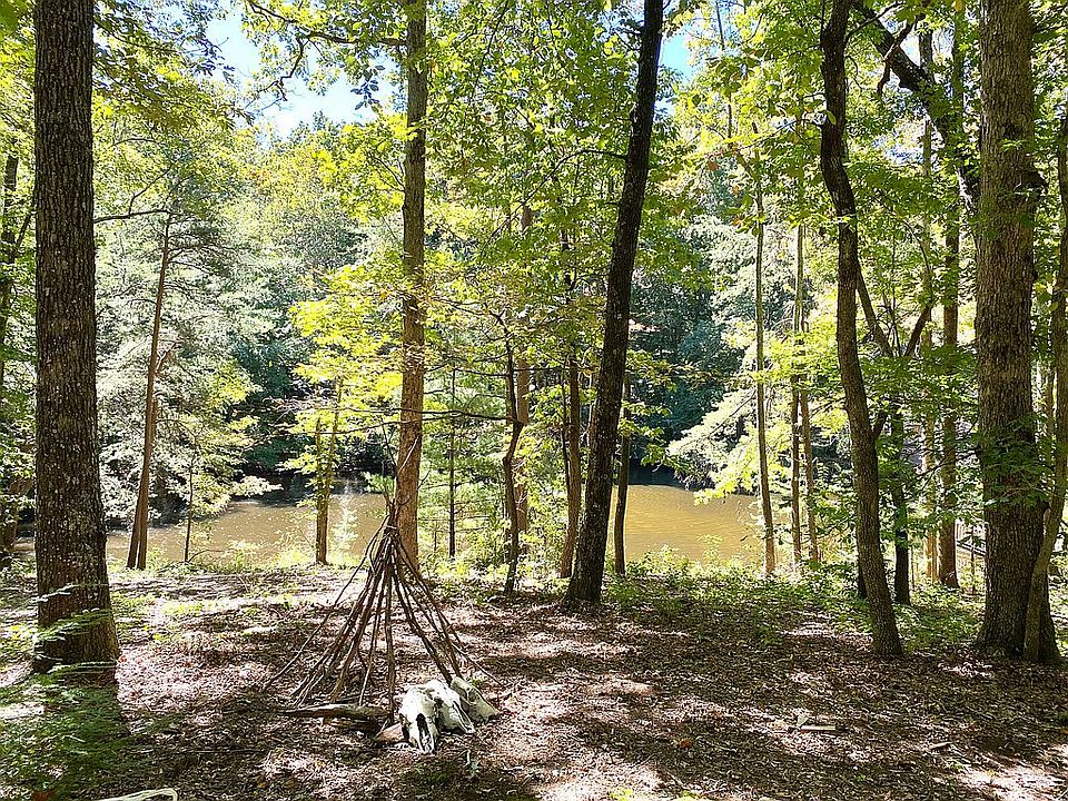 Pond view from homesite 1