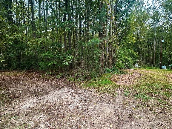 2nd image of 45 Bridges Way Lot 19
