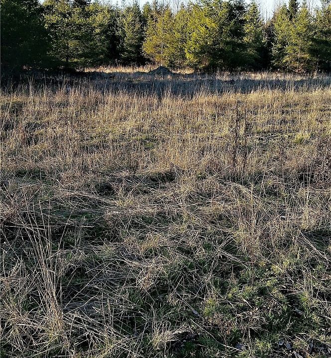2nd image of 760 Centerfire Ln