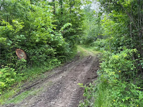 0 Townsend Rd, Watkins Glen, NY 14891