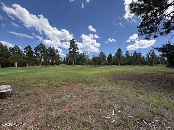 4th image of 4501 W Birchleaf Ln