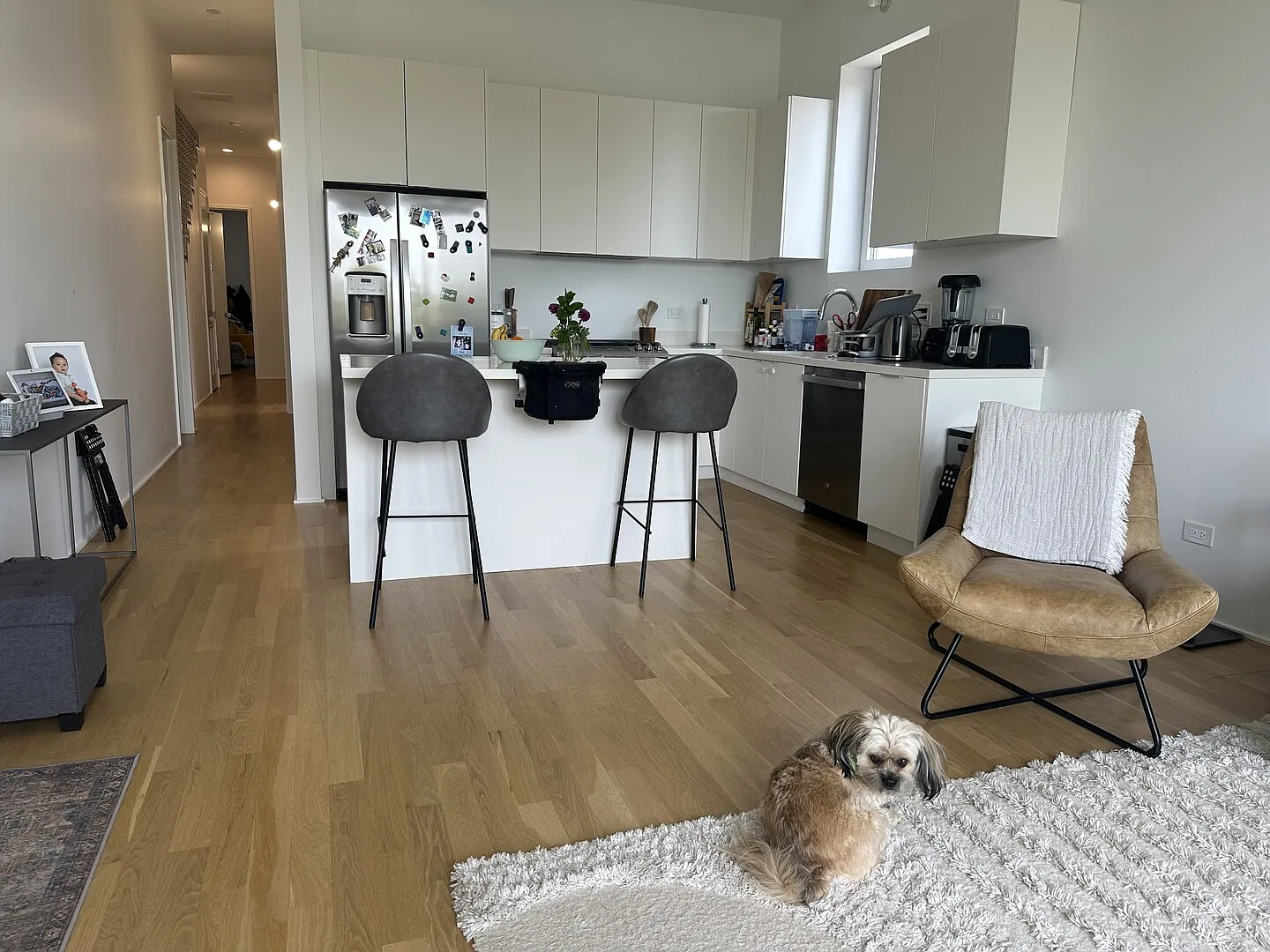 HUGE, comfy, bright, pets ok, 3 bdrm/2ba - balcony, roof, Med District — Photo 4