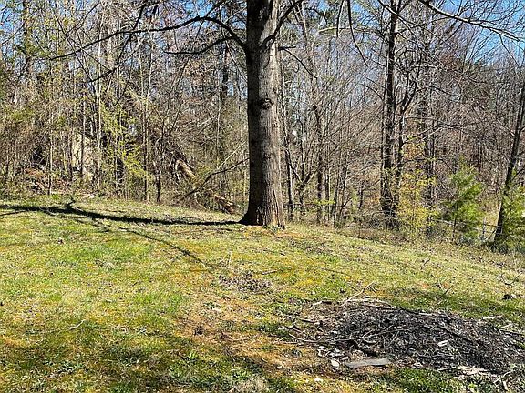 4th image of 187 Hidden Oaks Dr