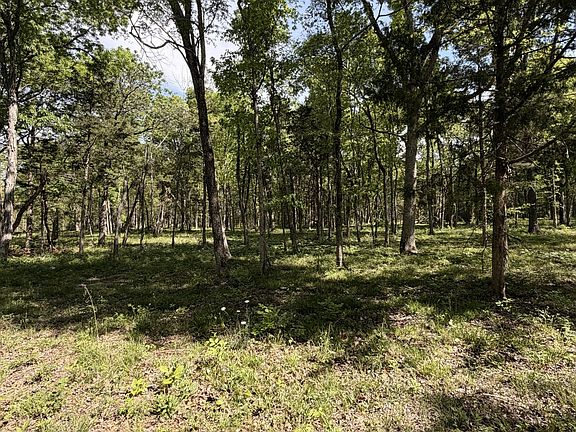 3rd image of 0 Millersburg Rd
