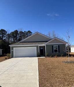 390 Acosta Circle, Conway, SC, 29527