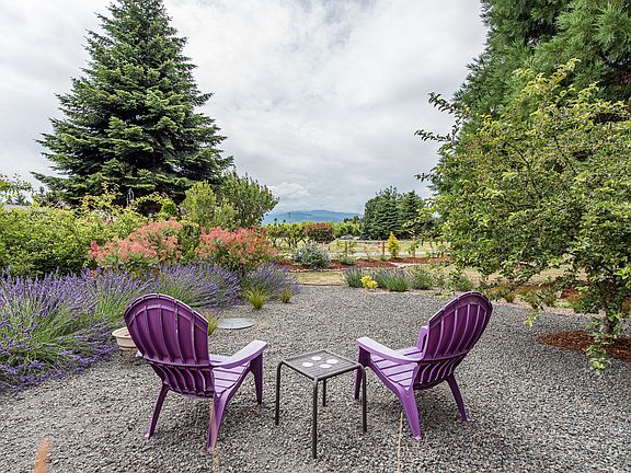 Olympic National Park view. 