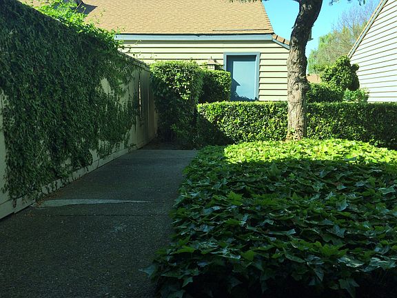 5th image of 7358 Lighthouse Dr