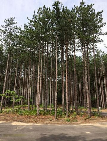 1st image of 4093 Lakeland Woods Ct #7
