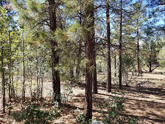 3rd image of 20 Lupine Ln
