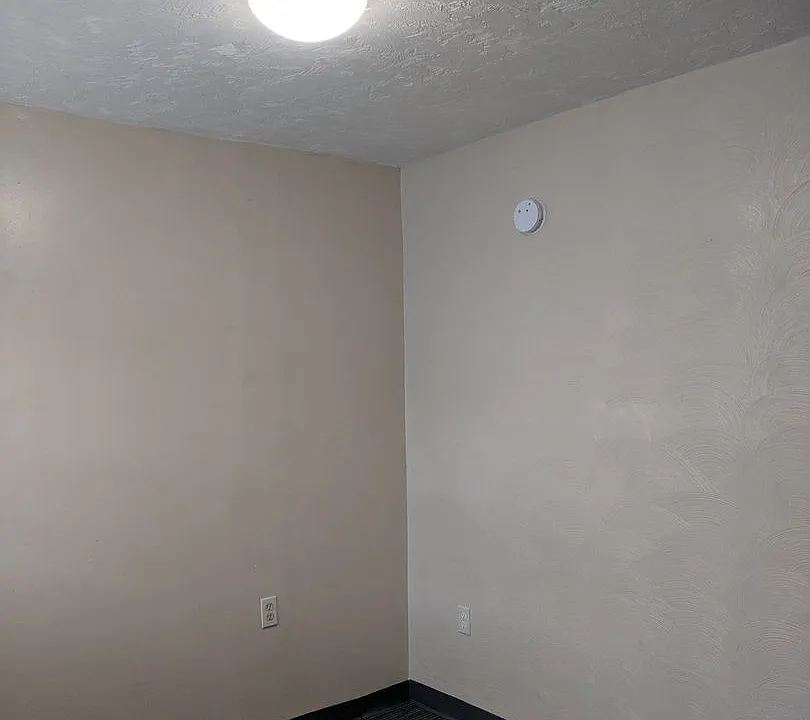 South Oakland renovated 2 bedroom