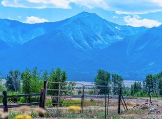 502 S San Juan Ave #206, Buena Vista, CO 81211