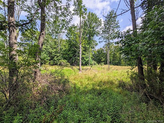 4th image of State Route 55