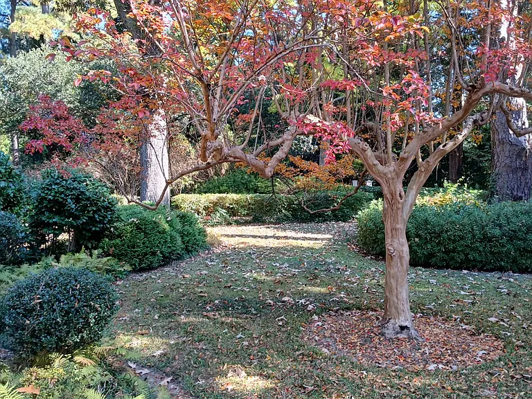 The outdoor gardens are maintained by the owner.